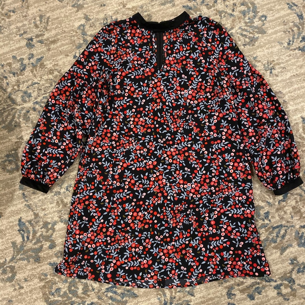 Ann Taylor loft dress